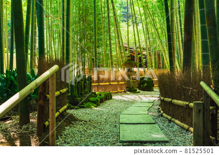 鎌倉Hogokuji竹園 81525501