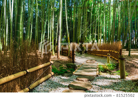 鎌倉Hogokuji竹園 81525502