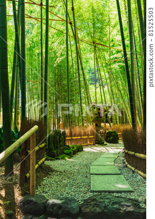 鎌倉Hogokuji竹園 81525503