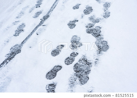 Image material for cold winter Image material for cold winter 81525515