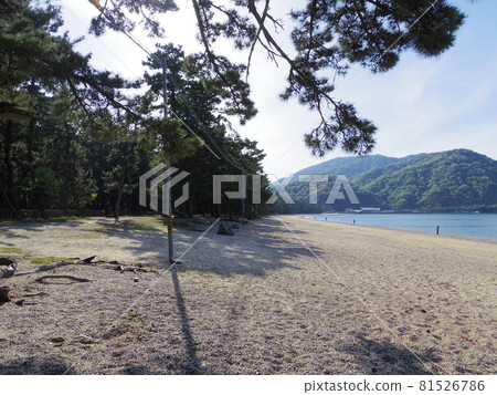 Kehi no Matsubara（福井縣敦賀市） 81526786