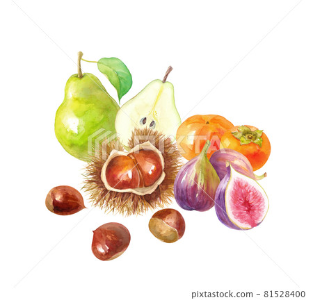 秋季水果的集合。栗子、柿子、無花果和梨的水彩插圖。 81528400