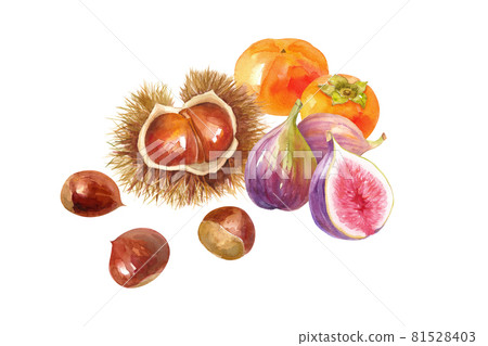A collection of autumn fruits. Watercolor illustration of chestnuts, persimmons and figs. A collection of autumn fruits. Watercolor illustration of chestnuts, persimmons and figs. 81528403