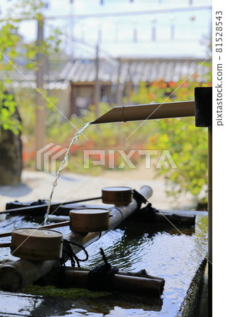 Nara Oshusa Kannonishi-zen貝爾節 81528543