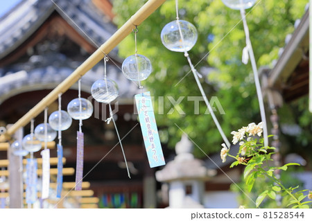 Nara Oshusa Kannonishi-zen貝爾節 Nara Oshusa Kannonishi-zen貝爾節 81528544