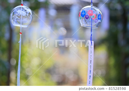 Nara Oshusa Kannonishi-zen貝爾節 81528598