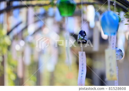 Nara Oshusa Kannonishi-zen貝爾節 81528608