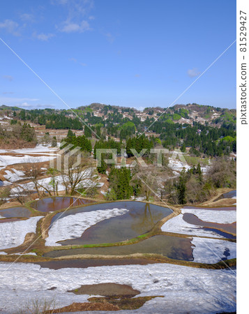 Niigata / Tokamachi / Gimyo Rice Terraces with Remaining Snow 81529427