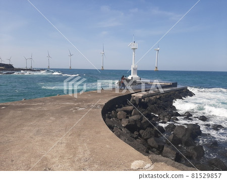 Beach landscape 81529857