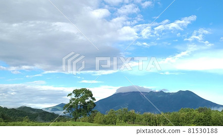取自信州山的夏日風景。 81530188