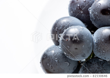 Grape (Fuji Minoru) up. Grape (Fuji Minoru) up. 81530646