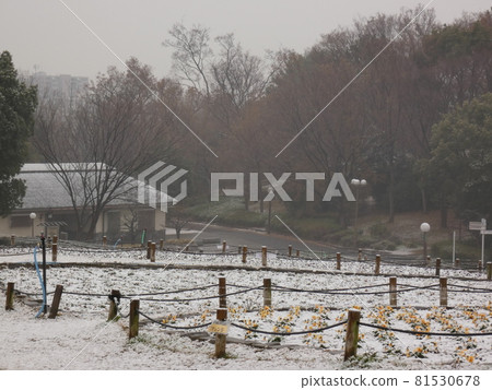 風車前的花壇上積雪·鶴見綠地 81530678