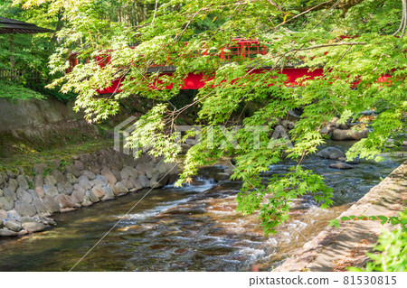 (靜岡縣)修善寺溫泉桂川 (靜岡縣)修善寺溫泉桂川 81530815