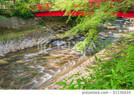 (靜岡縣)修善寺溫泉桂川 (靜岡縣)修善寺溫泉桂川 81530816