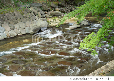 (靜岡縣)修善寺溫泉桂川 (靜岡縣)修善寺溫泉桂川 81530818