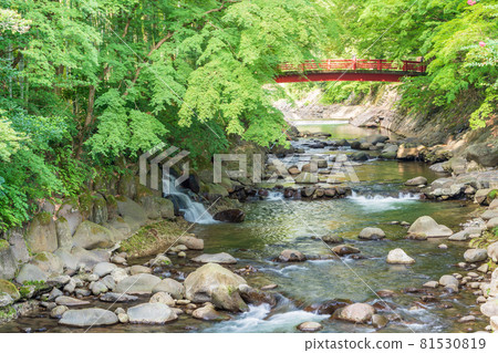 (靜岡縣)修善寺溫泉桂川楓橋 (靜岡縣)修善寺溫泉桂川楓橋 81530819