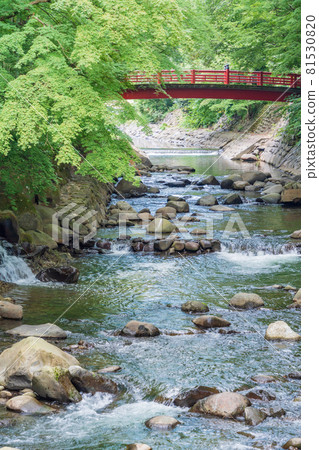 (靜岡縣)修善寺溫泉桂川楓橋 (靜岡縣)修善寺溫泉桂川楓橋 81530820