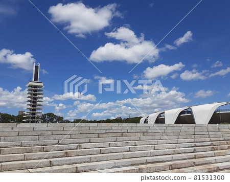 東京市民休憩之地駒澤公園的盛夏景色 東京市民休憩之地駒澤公園的盛夏景色 81531300