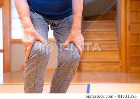 Elderly woman with knee pain Elderly woman with knee pain 81531356