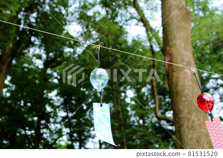 Wind chimes swaying in the wind in the green, late summer scenery Wind chimes swaying in the wind in the green, late summer scenery 81531520