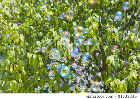 肥皂泡 肥皂泡 81532330