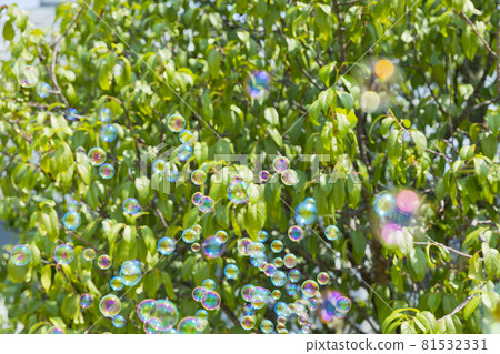 肥皂泡 81532331