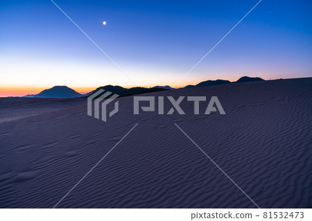 《Tottori Prefecture》 Tottori Sand Dunes / Scenery before dawn 81532473