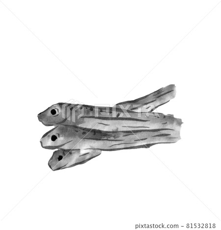 過年菜（水墨手繪插畫） 81532818