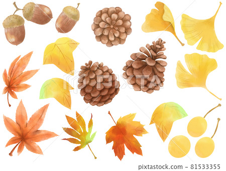 Autumn leaves and nuts Autumn leaves and nuts 81533355