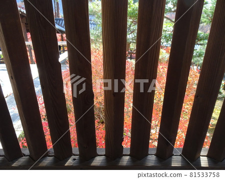 京都紅葉名勝的東福寺 京都紅葉名勝的東福寺 81533758