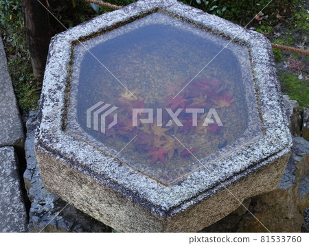 京都紅葉名勝的東福寺 京都紅葉名勝的東福寺 81533760
