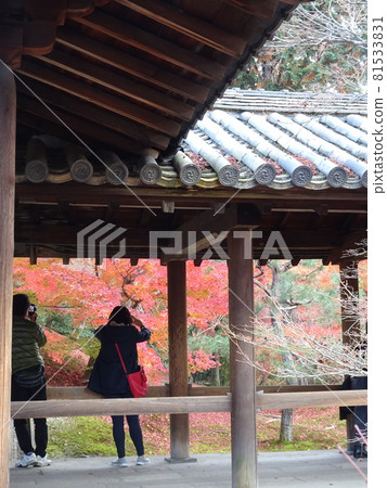 京都紅葉名勝的東福寺 京都紅葉名勝的東福寺 81533831