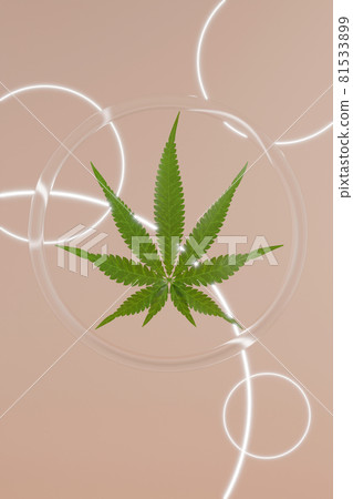 Green hemp leaves on beige background. 3d render texture. Round glass background with glowing circles. Green hemp leaves on beige background. 3d render texture. Round glass background with glowing circles. 81533899