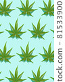 Green hemp leaves pattern on blue background. 3d render texture.  81533900