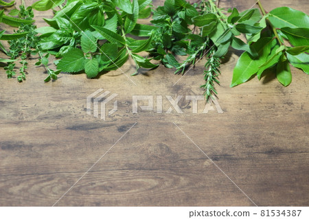 Fresh fragrant kitchen herbs 81534387