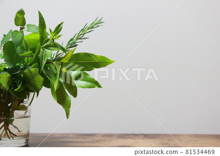 Fresh fragrant kitchen herbs 81534469