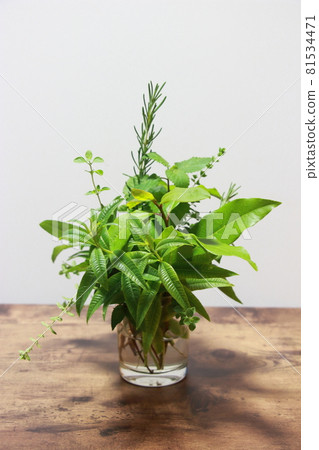 Fresh fragrant kitchen herbs Fresh fragrant kitchen herbs 81534471