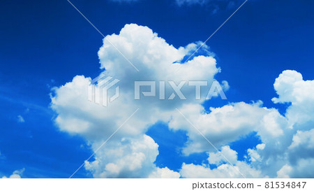 Summer blue sky and cloud landscape 81534847