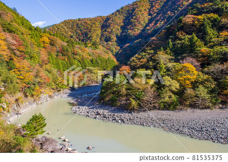 From the train window in Japan, Oigawa Railway Ikawa Line in autumn colors From the train window in Japan, Oigawa Railway Ikawa Line in autumn colors 81535375