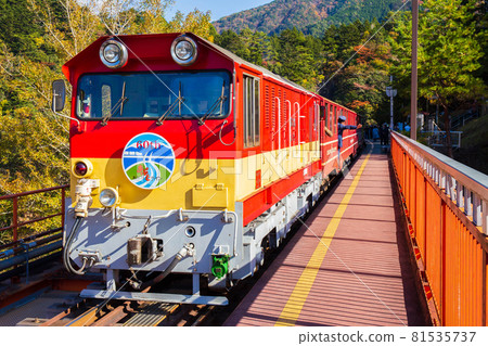 From the train window in Japan, Okuoikojo Station on the Oigawa Railway Ikawa Line in autumn colors 81535737