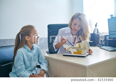 Patient looking at the auditory system demonstration model during the consultation 81535900