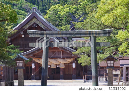 Izumo Taisha Shrine 81535902