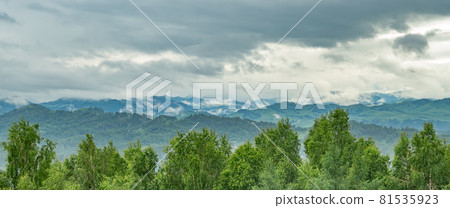 gloomy landscape of a high altitude valley in rainy weather with fogs on the background of tree branches gloomy landscape of a high altitude valley in rainy weather with fogs on the background of tree branches 81535923