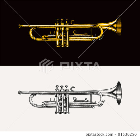Jazz instrument trumpet. Vector illustration classical wind musical apparatus in doodle outline Jazz instrument trumpet. Vector illustration classical wind musical apparatus in doodle outline 81536250