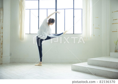 舞蹈家 舞蹈家 81536370