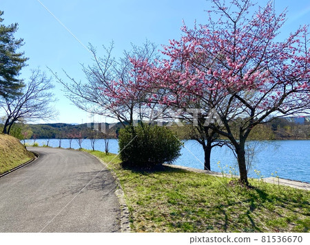 春遊 春遊 81536670