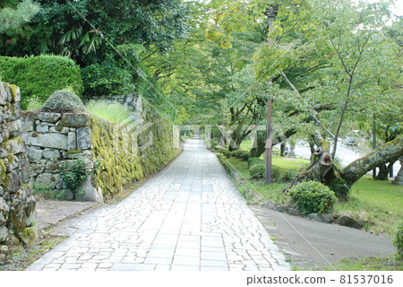 Masonry / sidewalk Masonry / sidewalk 81537016