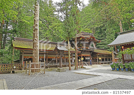 Suwa Taisha Shrine Harumiya (Suwa) Suwa Taisha Shrine Harumiya (Suwa) 81537497