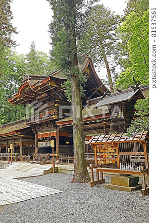 Suwa Taisha Shrine Harumiya (Suwa) Suwa Taisha Shrine Harumiya (Suwa) 81537561