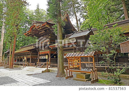 Suwa Taisha Shrine Harumiya (Suwa) 81537563